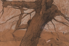 78