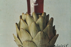 Cynar-1