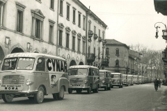 Cynar-141