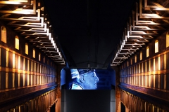 f03_MUSEO_FEDERICO_II_STUPOR_MUNDI_FotoStefanoBinci