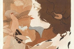 grafica10