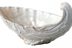 oro-bianco11