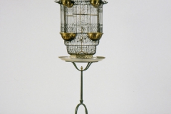 Rizzarda2