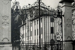 Rizzarda11