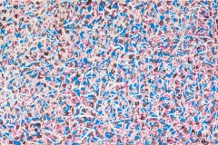 Bozner-Mark-Tobey-8