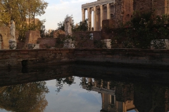 Parco-Archeologico-del-Colosseo-Foro_Romano_casa_vestali_cortile_dettaglio