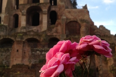 Parco-Archeologico-del-Colosseo-la-Domus-Tiberiana