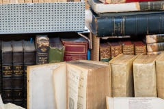 Mirco-Ricci-masterfotocesena-0038-MR6_3849 Mirco-Ricci-masterfotocesena-0038-MR6_3849