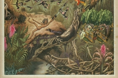 Laboccetta-9