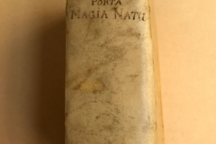 Mantova-Seicentina1