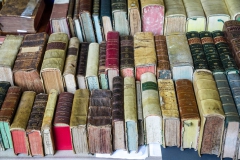 Mantova-Libri-Mappe-Stampe_set23-3