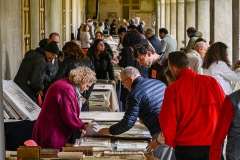 Libri e stampe