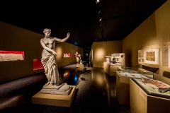 Allestimento-Mostra-Gladiator-4