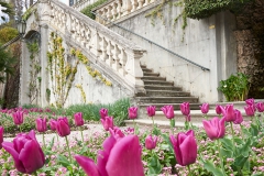 Villa-Carlotta-Tremezzo-03